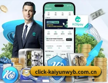 开云网站 APP 深度功能